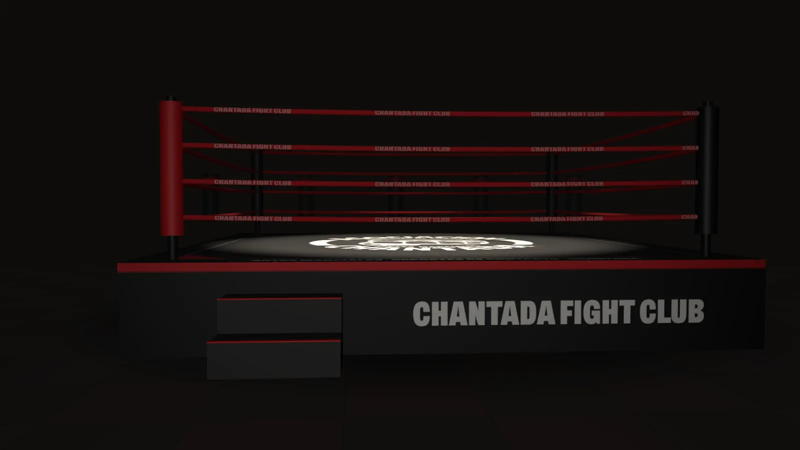 El ring con el faldón de Chantada Fight Club bajo el foco