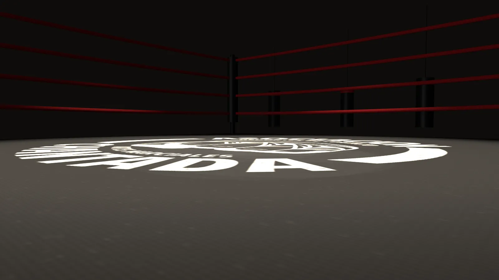 La lona del ring, con el puño impreso, a ras de suelo