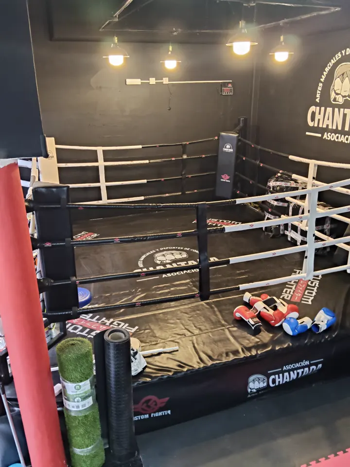 El ring, con las cuerdas blancas y el faldón de la Asociación